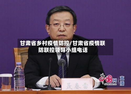甘肃省乡村疫情防控/甘肃省疫情联防联控领导小组电话-第3张图片