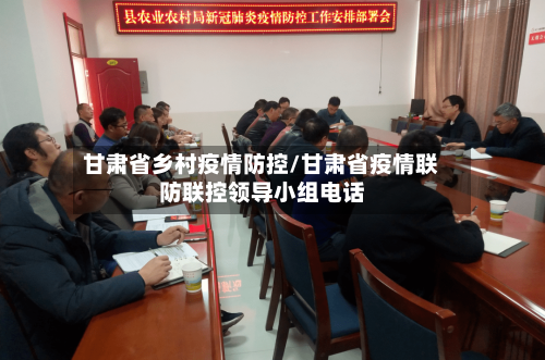 甘肃省乡村疫情防控/甘肃省疫情联防联控领导小组电话-第2张图片