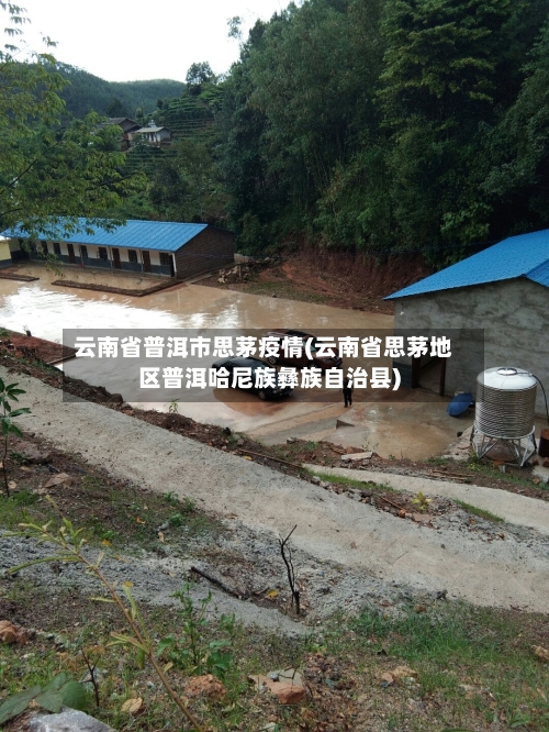 云南省普洱市思茅疫情(云南省思茅地区普洱哈尼族彝族自治县)-第1张图片