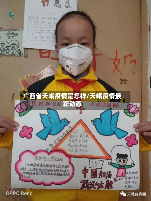 广西省天峨疫情是怎样/天峨疫情最新动态-第3张图片