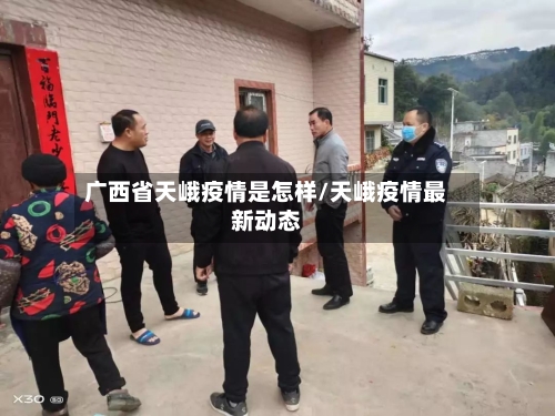 广西省天峨疫情是怎样/天峨疫情最新动态-第2张图片