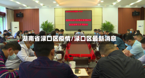 湖南省渌口区疫情/渌口区最新消息-第3张图片