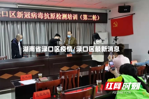 湖南省渌口区疫情/渌口区最新消息-第1张图片