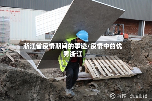 浙江省疫情期间的事迹/疫情中的优秀浙江-第3张图片