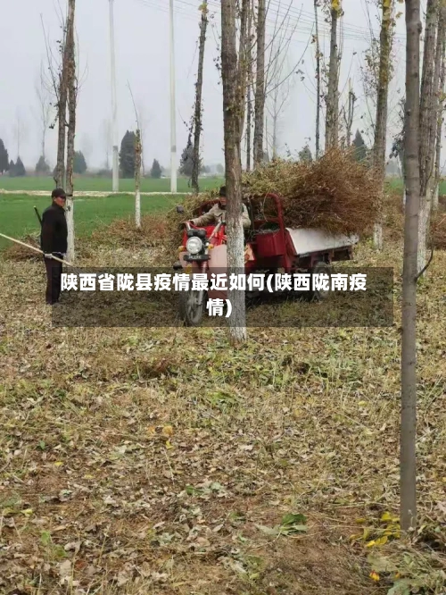 陕西省陇县疫情最近如何(陕西陇南疫情)-第3张图片