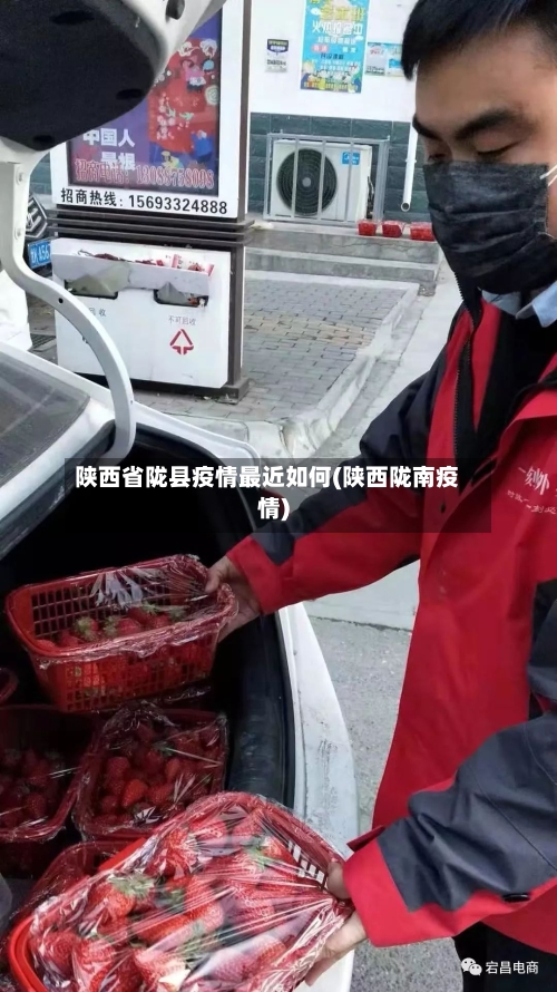 陕西省陇县疫情最近如何(陕西陇南疫情)-第2张图片