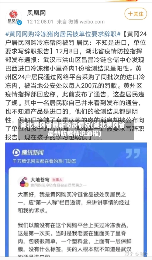 湖北黄冈省最新防疫情况(湖北黄冈省最新防疫情况通报)-第2张图片