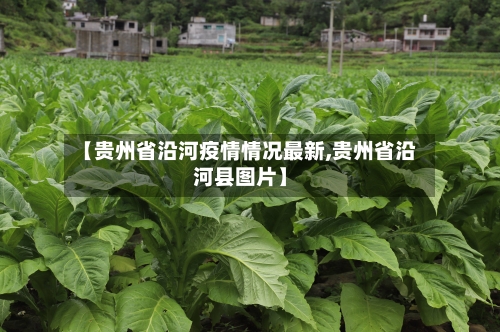 【贵州省沿河疫情情况最新,贵州省沿河县图片】-第2张图片