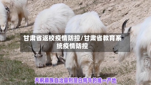 甘肃省返校疫情防控/甘肃省教育系统疫情防控-第1张图片