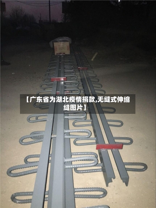 【广东省为湖北疫情捐款,无缝式伸缩缝图片】-第2张图片