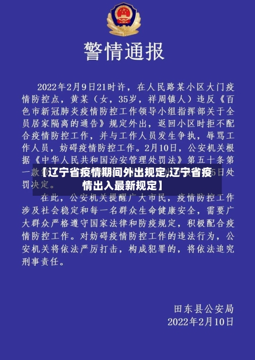 【辽宁省疫情期间外出规定,辽宁省疫情出入最新规定】-第1张图片