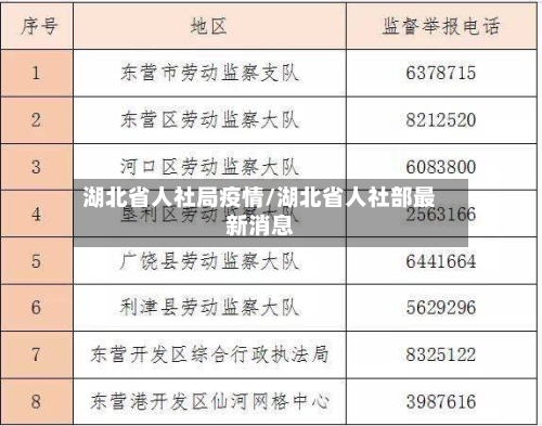 湖北省人社局疫情/湖北省人社部最新消息-第1张图片