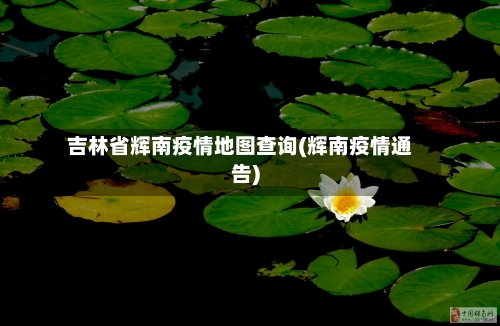 吉林省辉南疫情地图查询(辉南疫情通告)-第1张图片