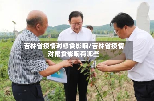 吉林省疫情对粮食影响/吉林省疫情对粮食影响有哪些-第3张图片