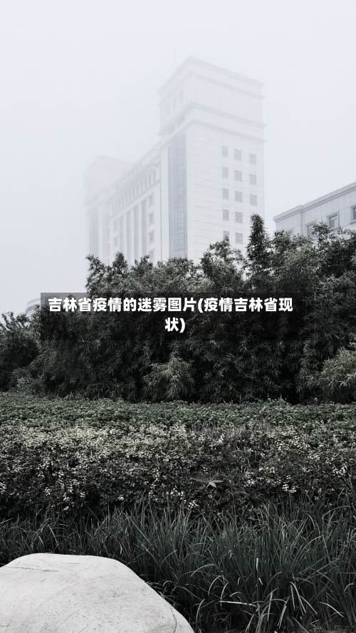 吉林省疫情的迷雾图片(疫情吉林省现状)-第1张图片