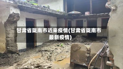 甘肃省陇南市近来疫情(甘肃省陇南市最新疫情)-第2张图片