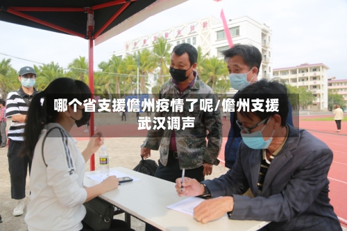 哪个省支援儋州疫情了呢/儋州支援武汉调声-第3张图片