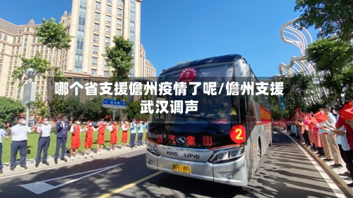 哪个省支援儋州疫情了呢/儋州支援武汉调声-第1张图片