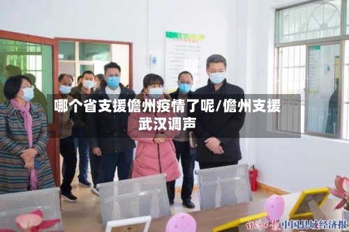 哪个省支援儋州疫情了呢/儋州支援武汉调声-第2张图片