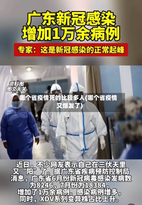 哪个省疫情死的比较多人(哪个省疫情又爆发了)-第1张图片