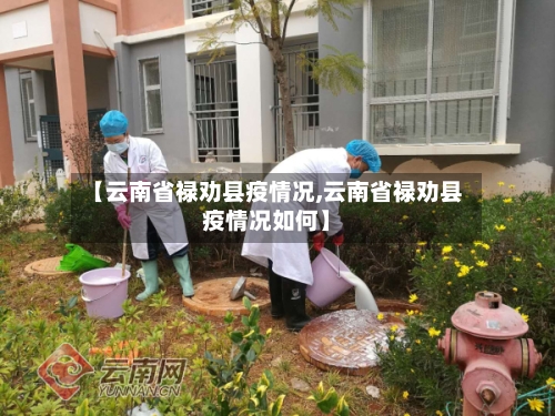 【云南省禄劝县疫情况,云南省禄劝县疫情况如何】-第1张图片