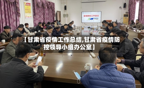 【甘肃省疫情工作总结,甘肃省疫情防控领导小组办公室】-第1张图片