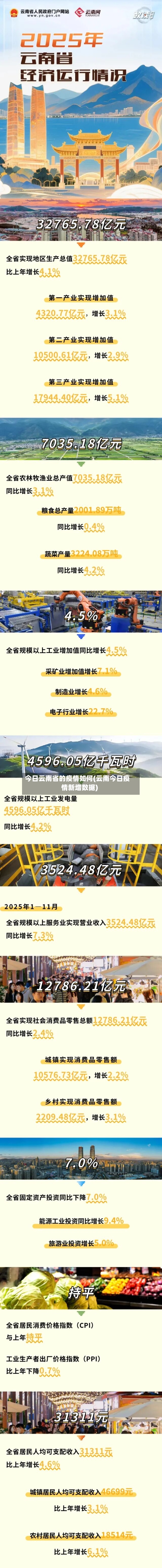 今日云南省的疫情如何(云南今日疫情新增数据)-第1张图片