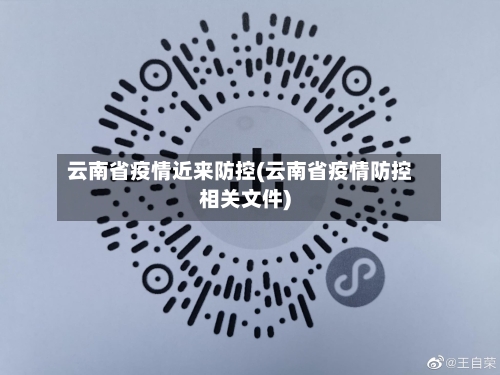云南省疫情近来防控(云南省疫情防控相关文件)-第2张图片