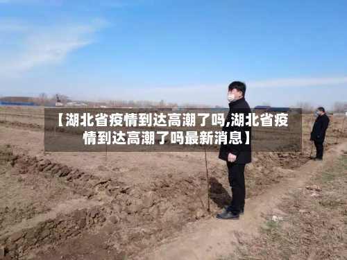 【湖北省疫情到达高潮了吗,湖北省疫情到达高潮了吗最新消息】-第2张图片