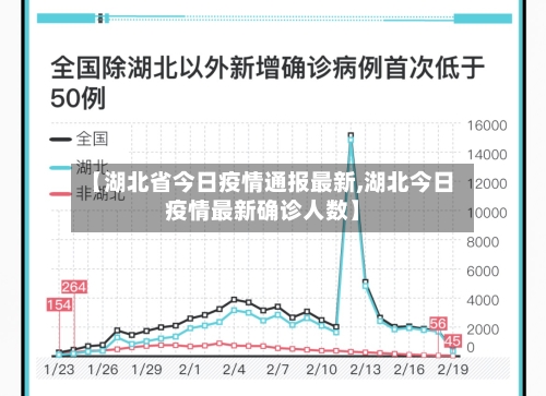 【湖北省今日疫情通报最新,湖北今日疫情最新确诊人数】-第3张图片