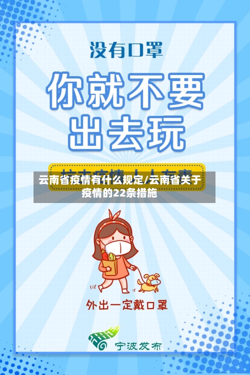 云南省疫情有什么规定/云南省关于疫情的22条措施-第3张图片