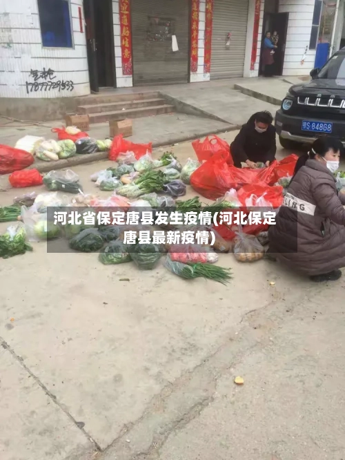 河北省保定唐县发生疫情(河北保定唐县最新疫情)-第3张图片