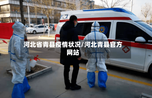 河北省青县疫情状况/河北青县官方网站-第2张图片