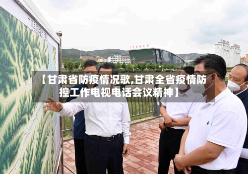 【甘肃省防疫情况歌,甘肃全省疫情防控工作电视电话会议精神】-第3张图片
