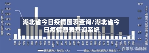 湖北省今日疫情图表查询/湖北省今日疫情图表查询系统-第3张图片