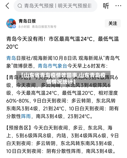 【山东省青岛疫情咋回事,山东青岛疫情情况统计】-第3张图片