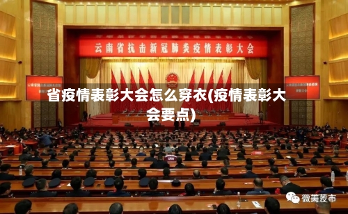 省疫情表彰大会怎么穿衣(疫情表彰大会要点)-第2张图片