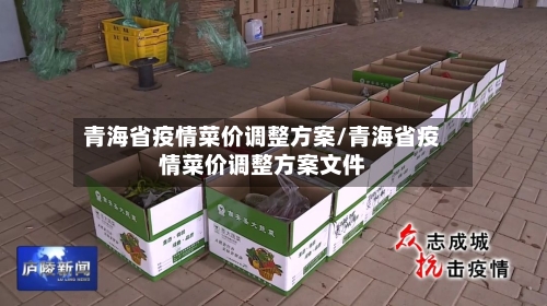 青海省疫情菜价调整方案/青海省疫情菜价调整方案文件-第1张图片