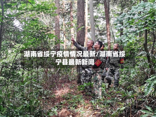 湖南省绥宁疫情情况最新/湖南省绥宁县最新新闻-第3张图片