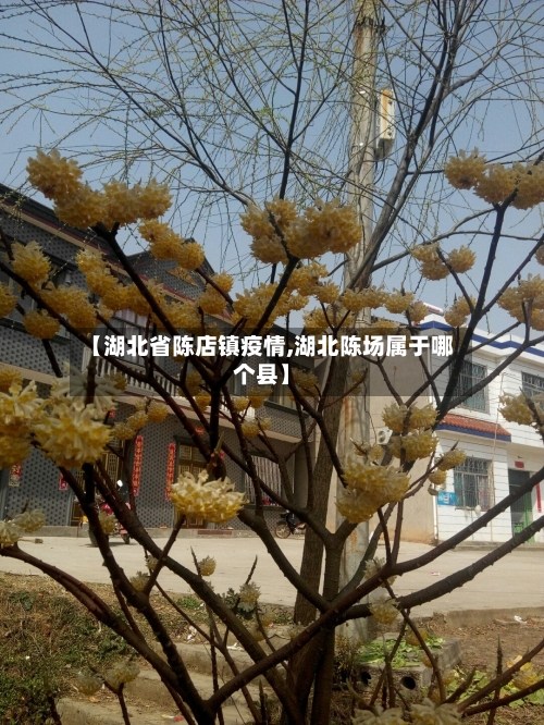 【湖北省陈店镇疫情,湖北陈场属于哪个县】-第1张图片