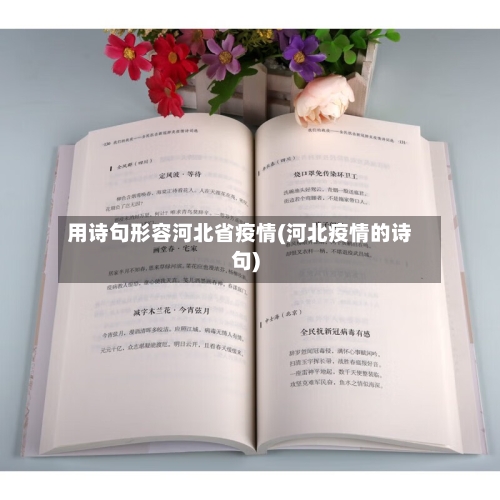 用诗句形容河北省疫情(河北疫情的诗句)-第1张图片