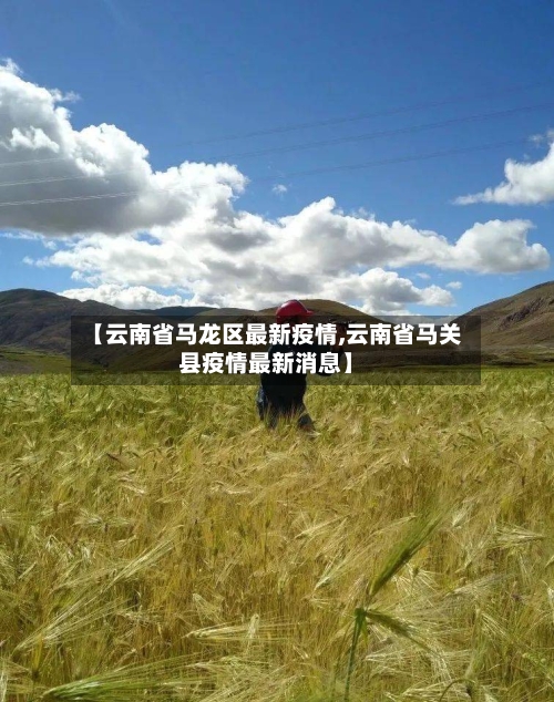 【云南省马龙区最新疫情,云南省马关县疫情最新消息】-第3张图片