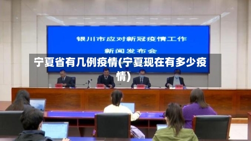 宁夏省有几例疫情(宁夏现在有多少疫情)-第3张图片