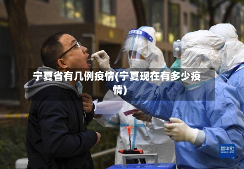 宁夏省有几例疫情(宁夏现在有多少疫情)-第2张图片