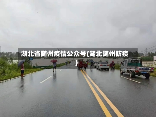 湖北省随州疫情公众号(湖北随州防疫)-第1张图片