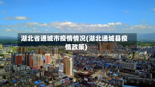 湖北省通城市疫情情况(湖北通城县疫情政策)-第3张图片