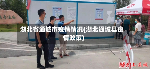 湖北省通城市疫情情况(湖北通城县疫情政策)-第2张图片