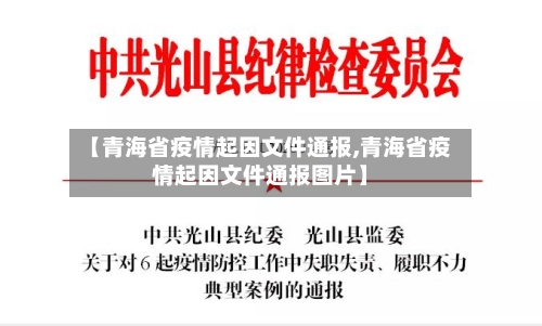 【青海省疫情起因文件通报,青海省疫情起因文件通报图片】-第1张图片