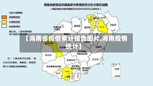 【海南省疫情累计报告图片,海南疫情统计】-第3张图片