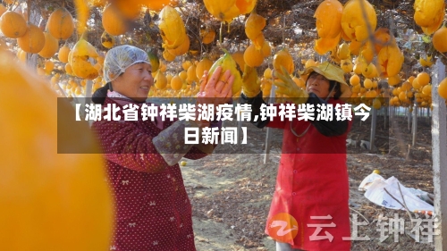 【湖北省钟祥柴湖疫情,钟祥柴湖镇今日新闻】-第2张图片